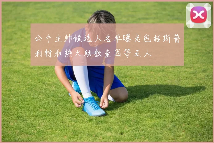 公牛主帅候选人名单曝光包括斯普利特和热火助教奎因等五人